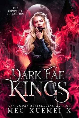 Dark Fae Kings: Complete Series by Meg Xuemei X