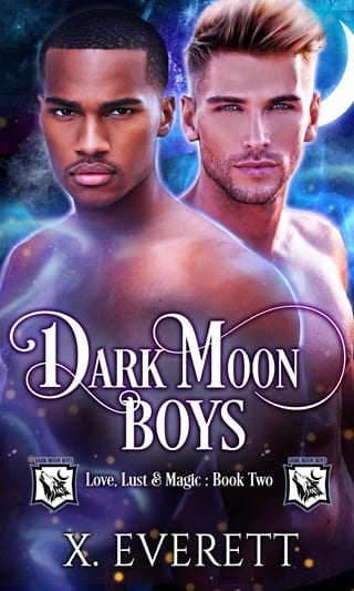 Dark Moon Boys by X. Everett