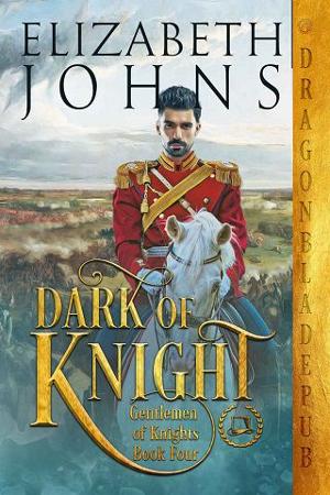 Dark of Knight by Elizabeth Johns
