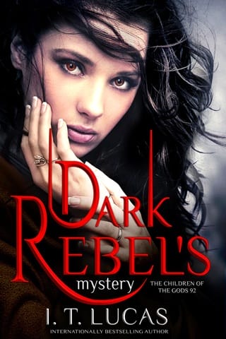 Dark Rebel’s Mystery by I. T. Lucas