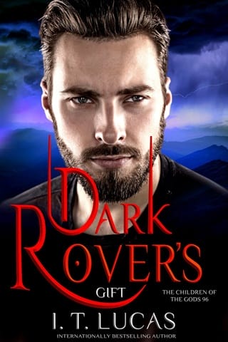 Dark Rover’s Gift by I. T. Lucas