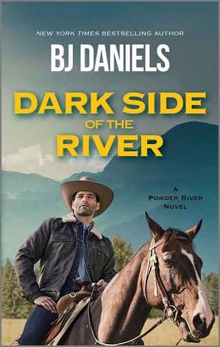 Dark Side of the River by B.J. Daniels