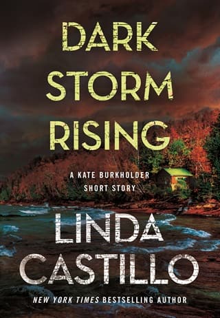 Dark Storm Rising by Linda Castillo