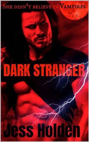 Dark Stranger by Jess Holden