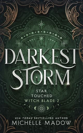 Darkest Storm by Michelle Madow