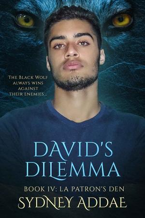 David’s Dilemma by Sydney Addae