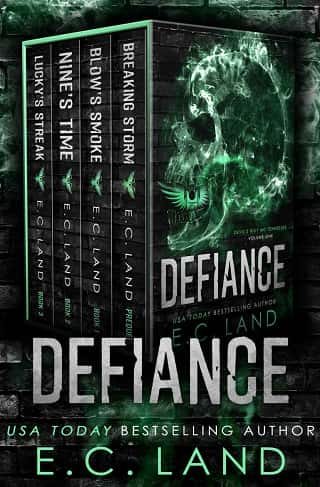 Defiance: Devil’s Riot MC Tennessee Box Set by E.C. Land