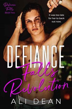 Defiance Falls Revolution by Ali Dean