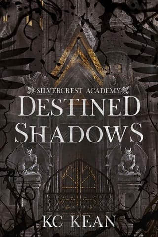 Destined Shadows by KC Kean