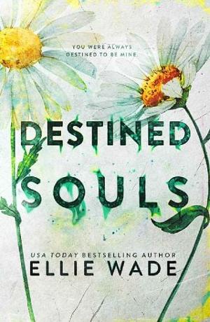 Destined Souls by Ellie Wade