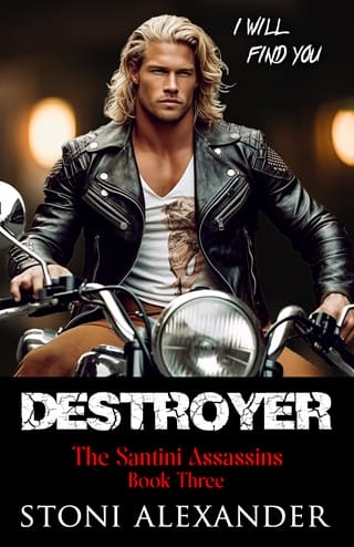 Destroyer by Stoni Alexander