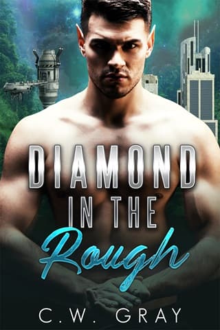 Diamond in the Rough by C.W. Gray