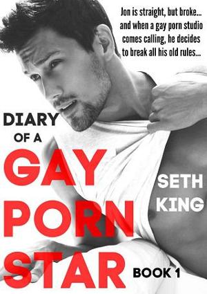 Diary of a Gay Porn Star by Seth King