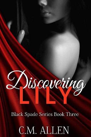 Discovering Lily by C.M. Allen