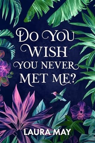 Do You Wish You Never Met Me? by Laura May