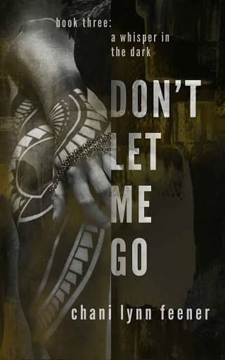 Don’t Let Me Go by Chani Lynn Feener