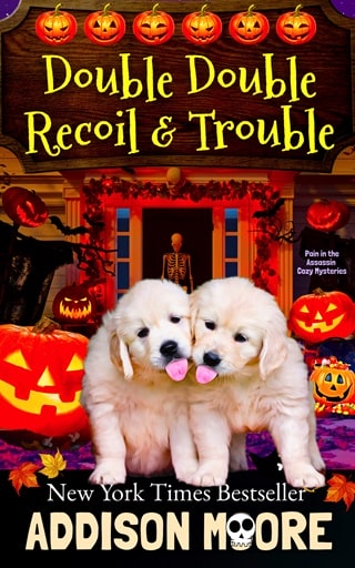 Double Double Recoil and Trouble by Addison Moore