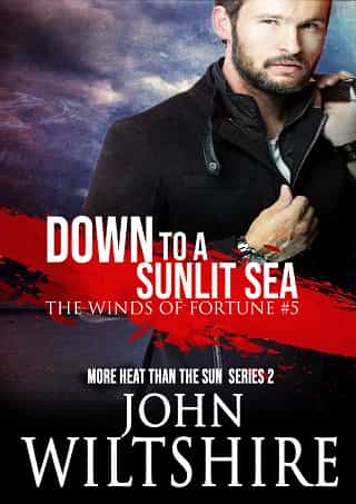 Down to a Sunlit Sea by John Wiltshire