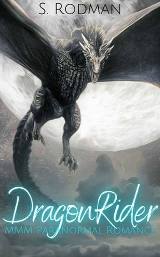 DragonRider by S. Rodman