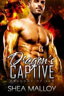 Dragon’s Captive by Shea Malloy