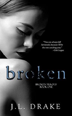 The Broken Trilogy by J.L. Drake