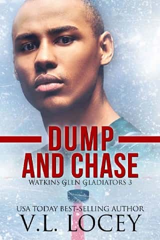 Dump and Chase by V.L. Locey