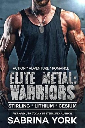 Elite Metal: Warriors by Sabrina York