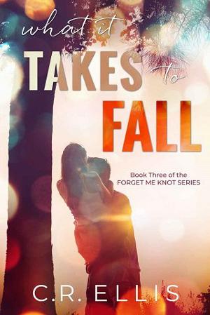 What it Takes to Fall by C.R. Ellis