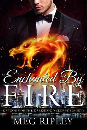 Enchanted By Fire by Meg Ripley