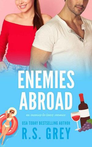 Enemies Abroad by R.S. Grey