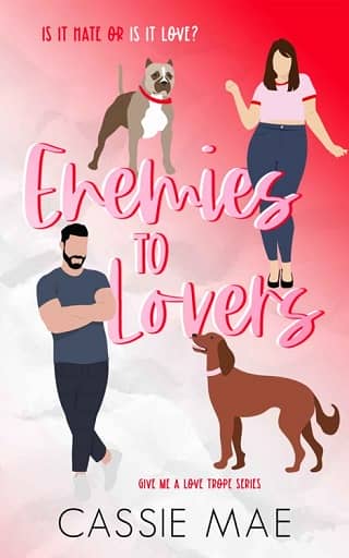 Enemies to Lovers by Cassie Mae - online free at Epub