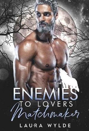 Enemies to Lovers Matchmaker by Laura Wylde
