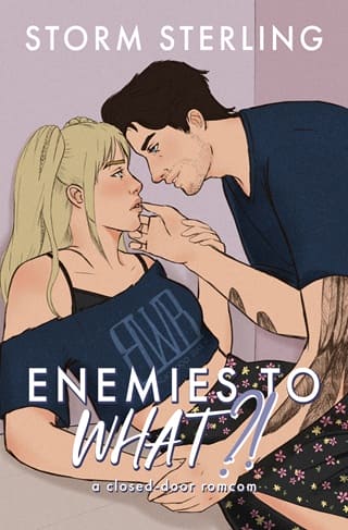 Enemies to What by Storm Sterling