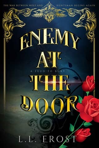 Enemy at the Door by L.L. Frost