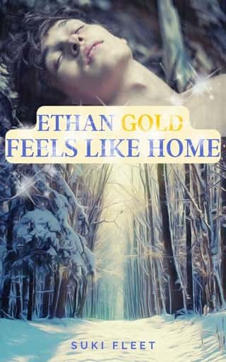 Ethan Gold Feels Like Home by Suki Fleet