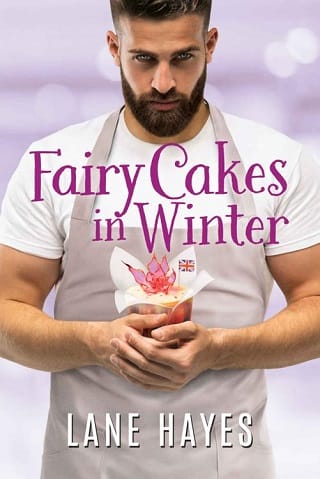 Fairy Cakes in Winter by Lane Hayes