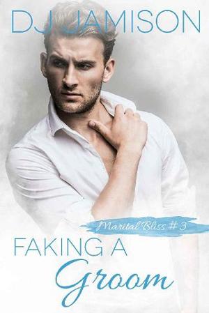 Faking A Groom by D.J. Jamison
