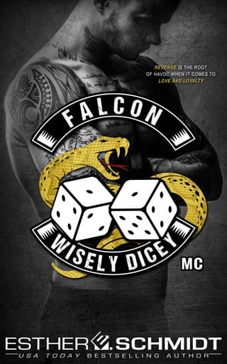 Falcon by Esther E. Schmidt
