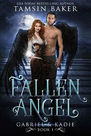 Fallen Angel by Tamsin Baker