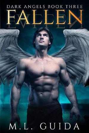 Fallen by ML Guida