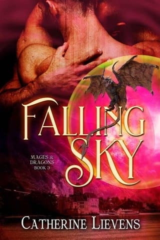 Falling Sky by Catherine Lievens
