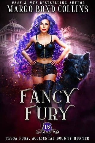 Fancy Fury by Margo Bond Collins