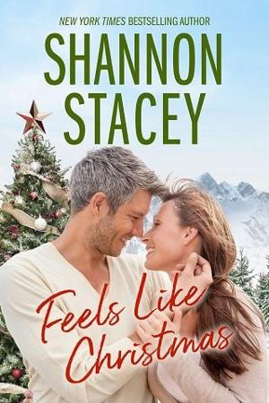 Feels Like Christmas by Shannon Stacey
