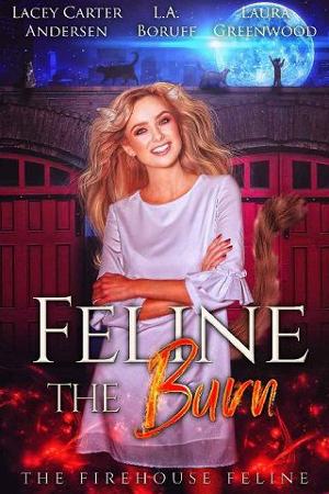 Feline the Burn by Lacey Carter Andersen