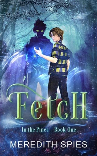 Fetch by Meredith Spies