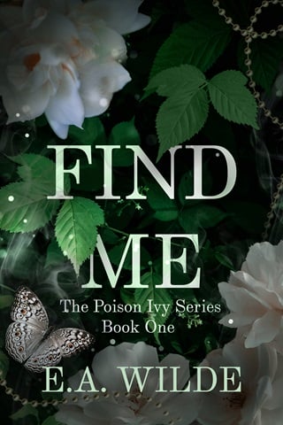 Find Me by E.A. Wilde