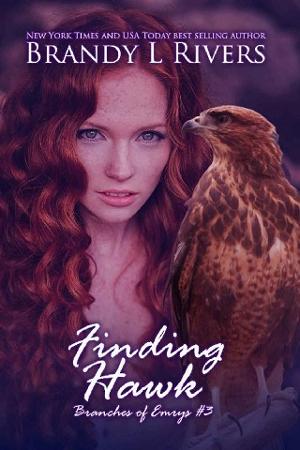 Finding Hawk by Brandy L Rivers