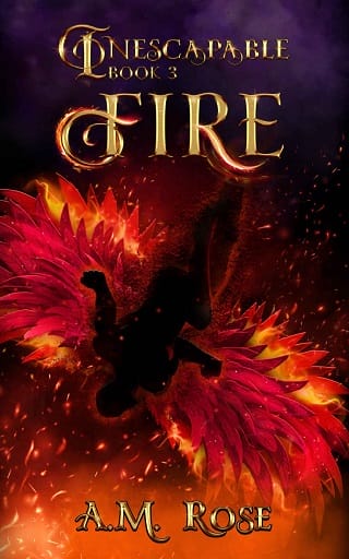 Fire by A. M. Rose