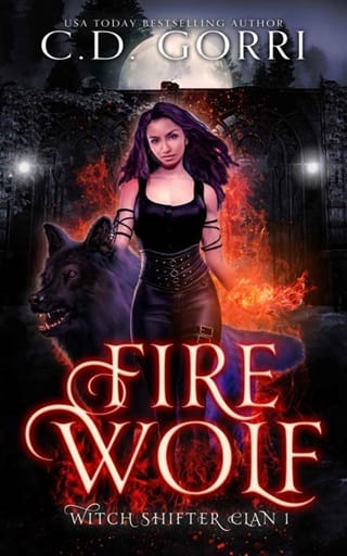 Fire Wolf by C.D. Gorri