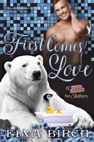 First Comes Love Complete Collection by Elva Birch